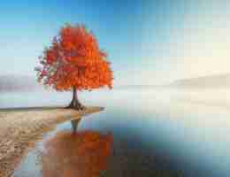 接﻿口​自﻿动﻿化‌框‌架‌